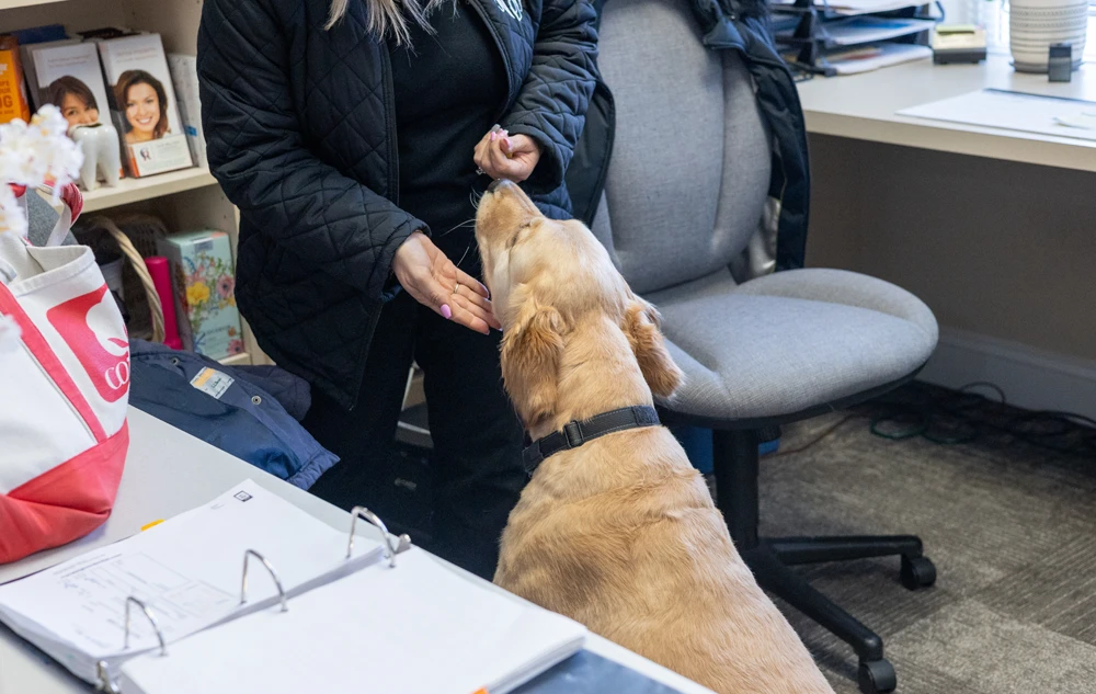 friendly office dog being fed at front desk in creedmoor road dental office